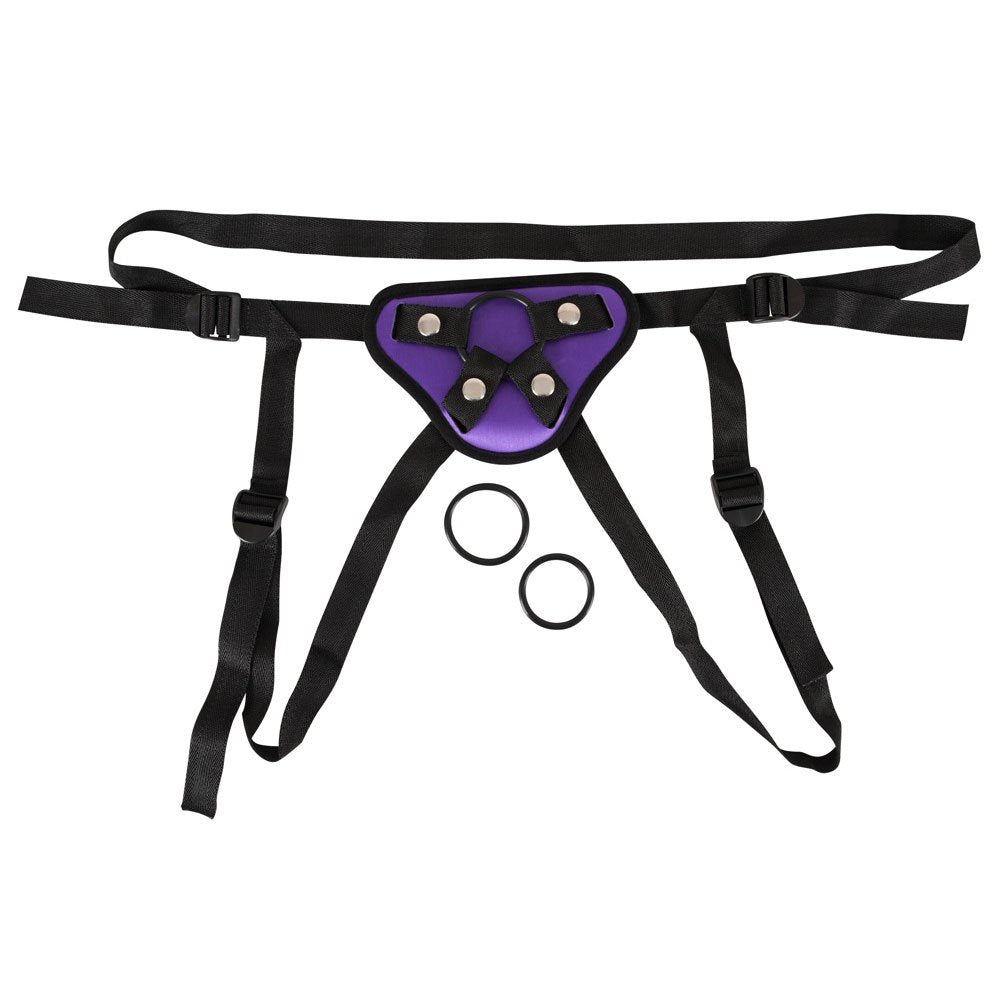 Universal harness