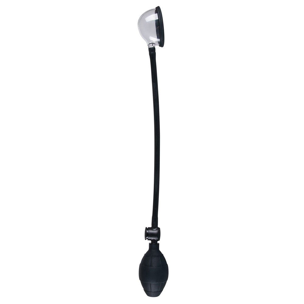 Labia Sucker