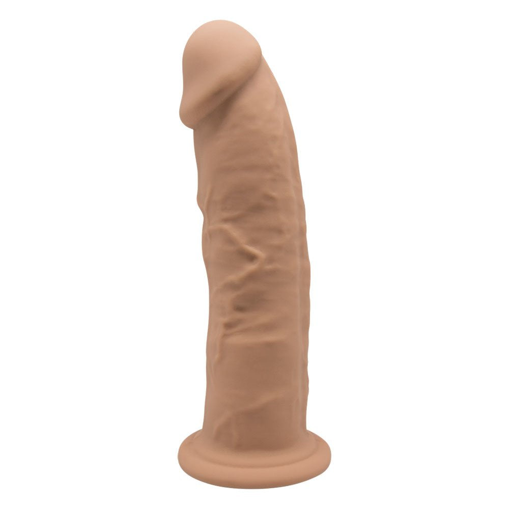 Model 2 9"
