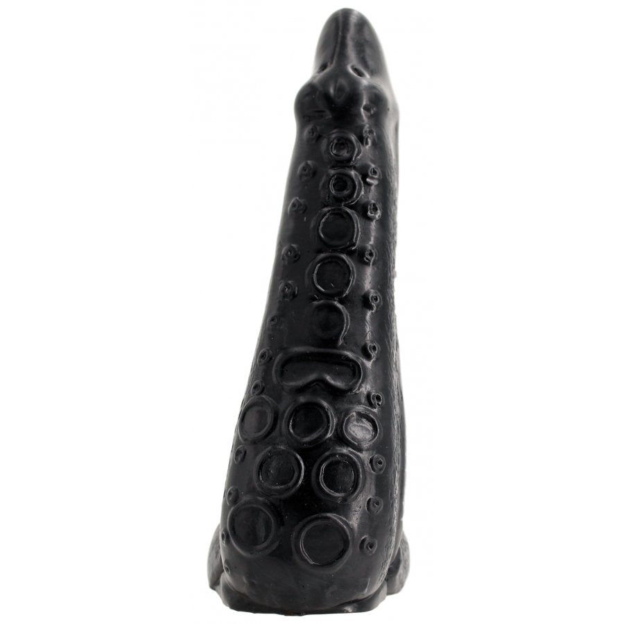 NAUTILA 21,5 x 6 cm